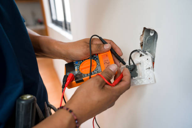 Best Affordable Electrician  in Carrollwood, FL