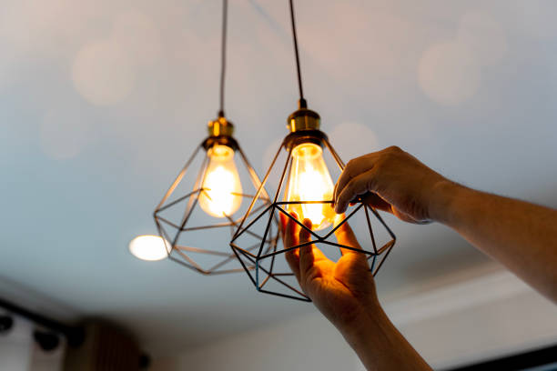 Best Electric Panel Repair  in Carrollwood, FL