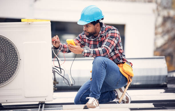 Professional Electrician in Carrollwood, FL