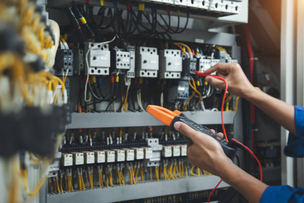 Best Local Electrician Companies  in Carrollwood, FL