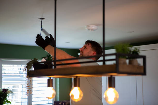 Best Electrician for Home Renovation  in Carrollwood, FL