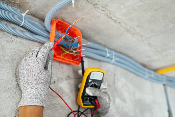 Best Electrical Rewiring Services  in Carrollwood, FL